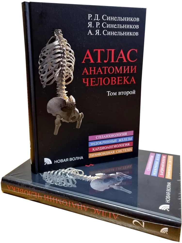 Atlas of Human Anatomy. Volume Two