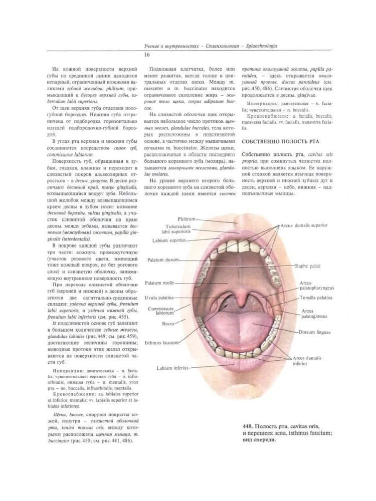 Atlas of Human Anatomy. Volume Two
