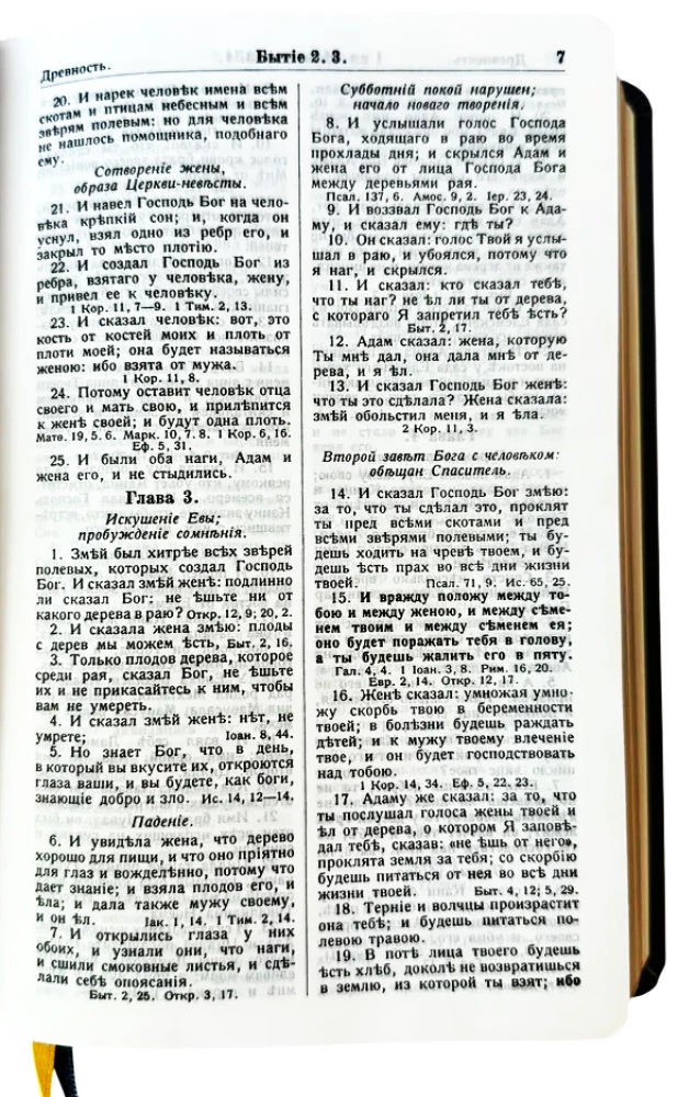 Die Bibel von Götze in mittlerer Form