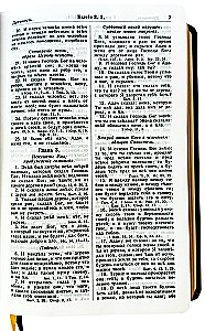 Die Bibel von Götze in mittlerer Form