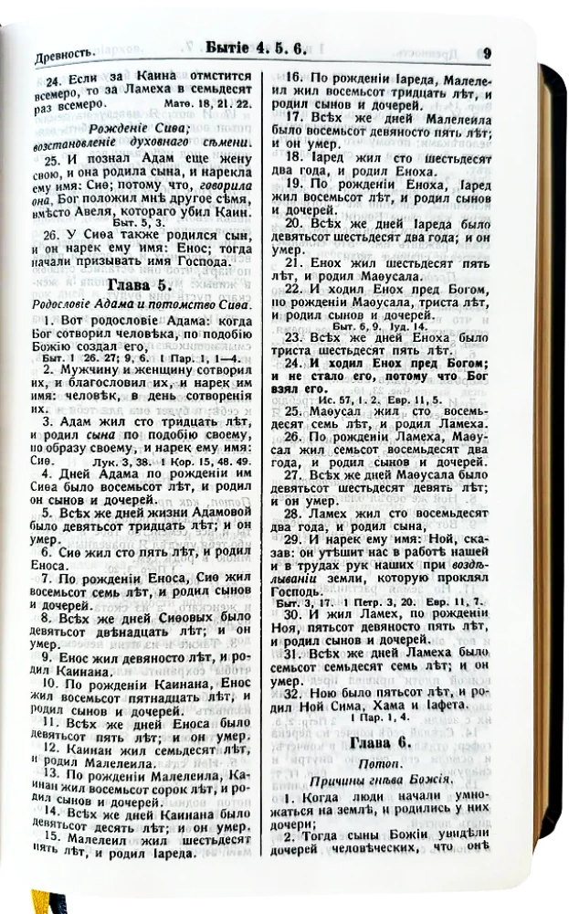 Die Bibel von Götze in mittlerer Form