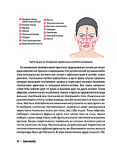 Decoding the Signals of the Body. Effective Techniques for Reading the Face Every Day