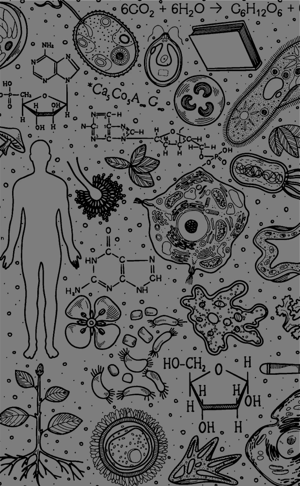Biology. School Base for Children and Adults