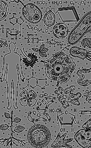 Biology. School Base for Children and Adults