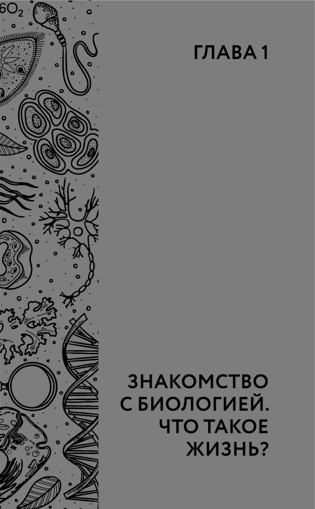 Biology. School Base for Children and Adults