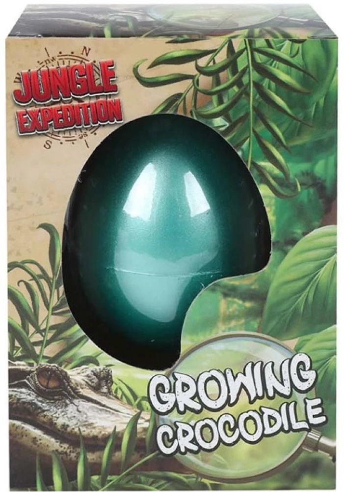Toy - Crocodile Egg