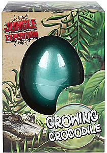 Toy - Crocodile Egg