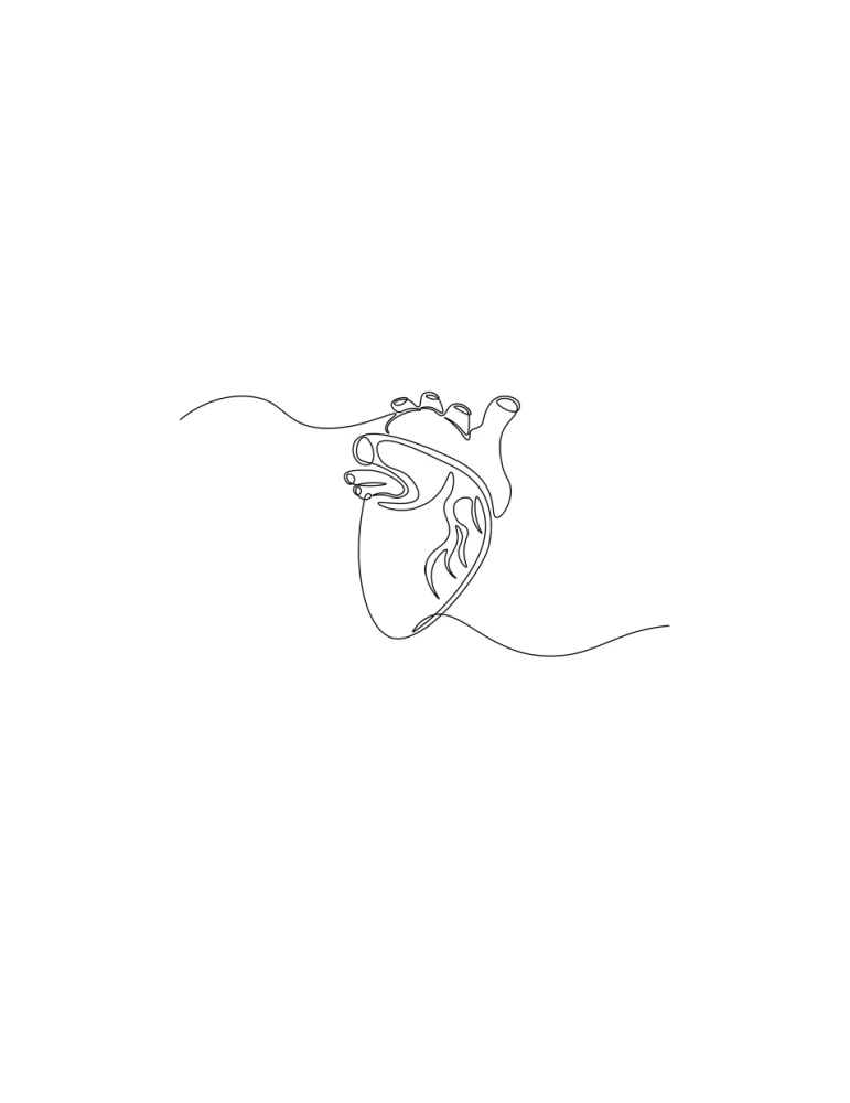 Everything about the heart. How to take care of your inner 'motor' to stay healthy at any age