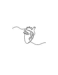 Everything about the heart. How to take care of your inner 'motor' to stay healthy at any age