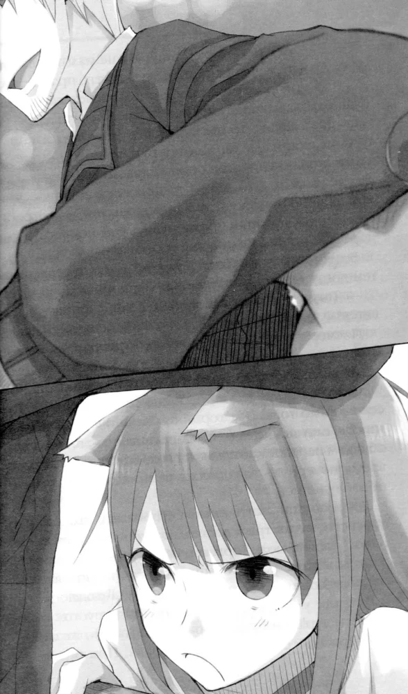 Die Wölfin und die Gewürze. Band 11