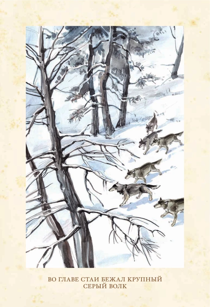 White Fang