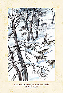 White Fang
