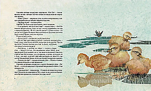 The Ugly Duckling