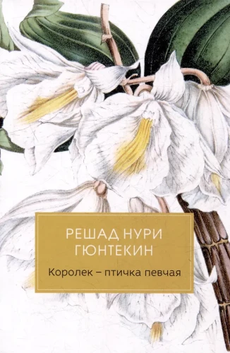 Koryolek - the Singing Bird