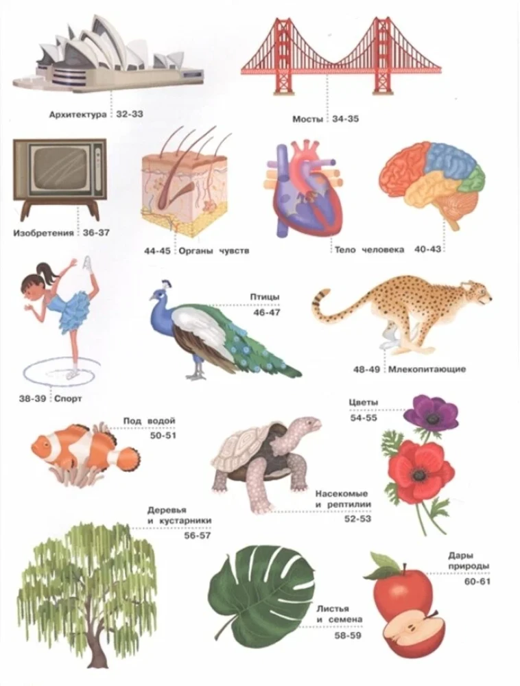 Illustrated Encyclopedia for Children