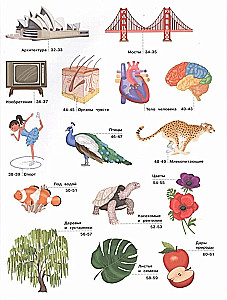 Illustrated Encyclopedia for Children