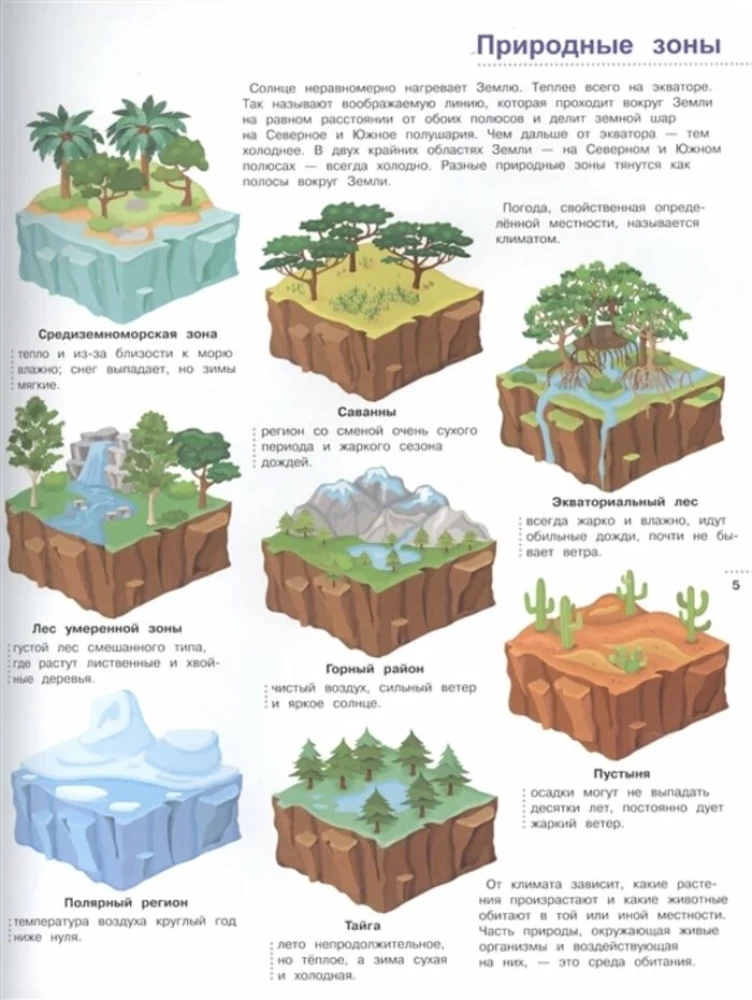 Illustrated Encyclopedia for Children