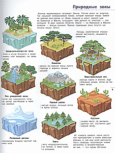 Illustrated Encyclopedia for Children