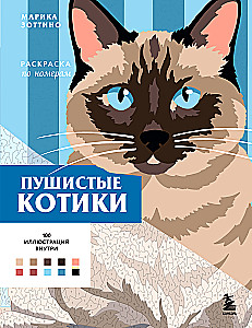 Fluffy Kittens. Paint by Numbers