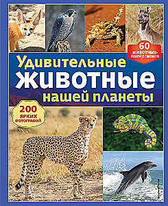 Amazing Animals of Our Planet