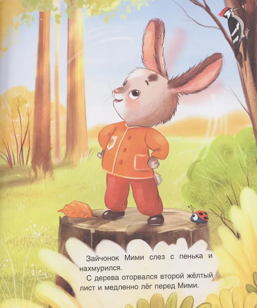 Das Kaninchen Mimi ist schon groß!