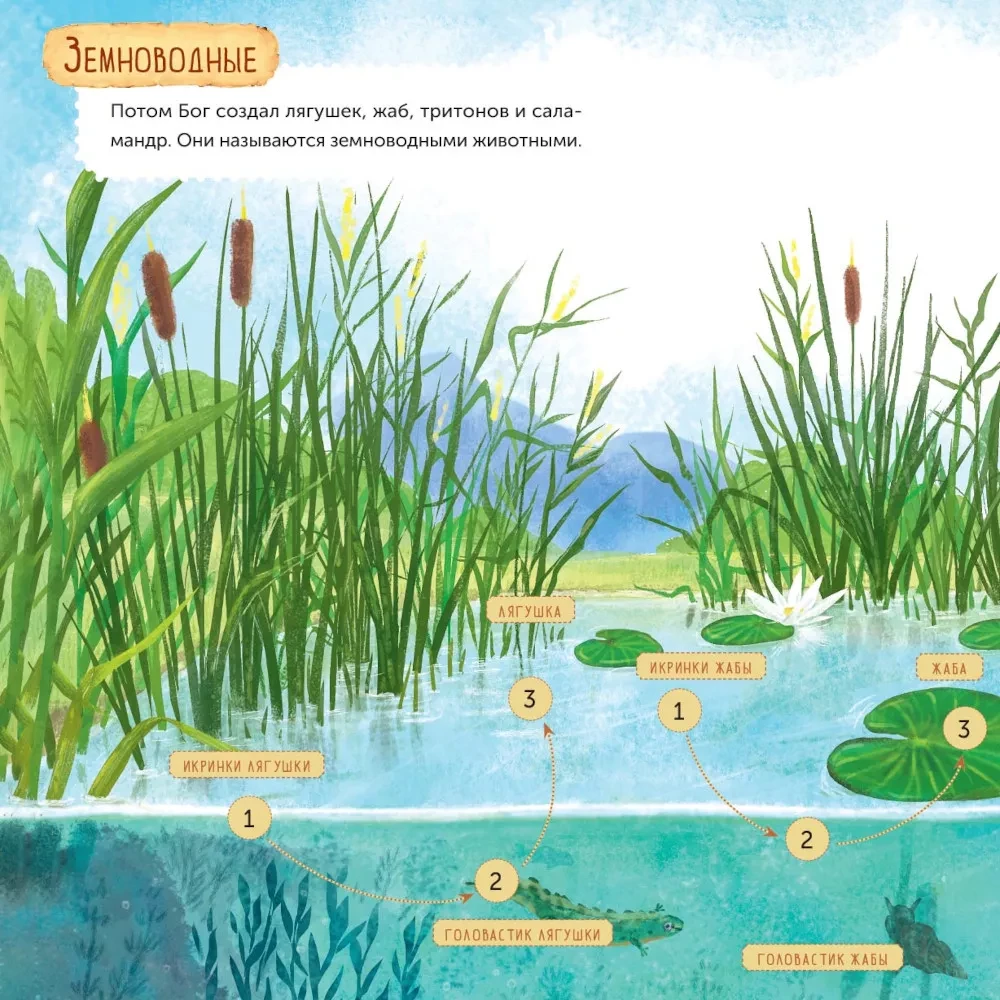 Days of Creation