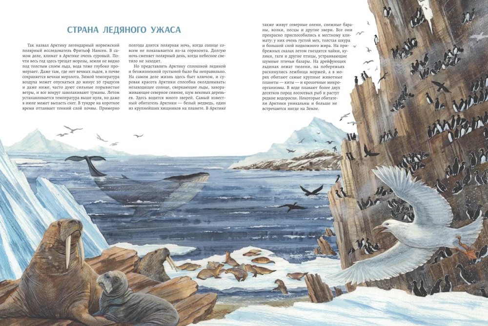 Arctic: Life at the Edge of the Earth