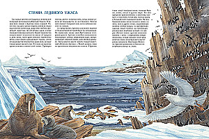 Arctic: Life at the Edge of the Earth
