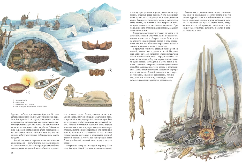 Arctic: Life at the Edge of the Earth