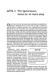 Семь столпов здоровья
