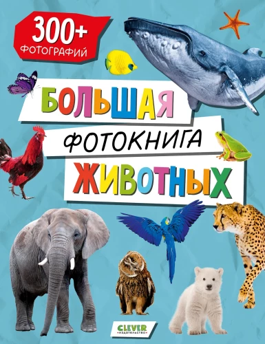 Baby's First Books. Big Photo Book of Animals