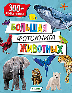 Baby's First Books. Big Photo Book of Animals
