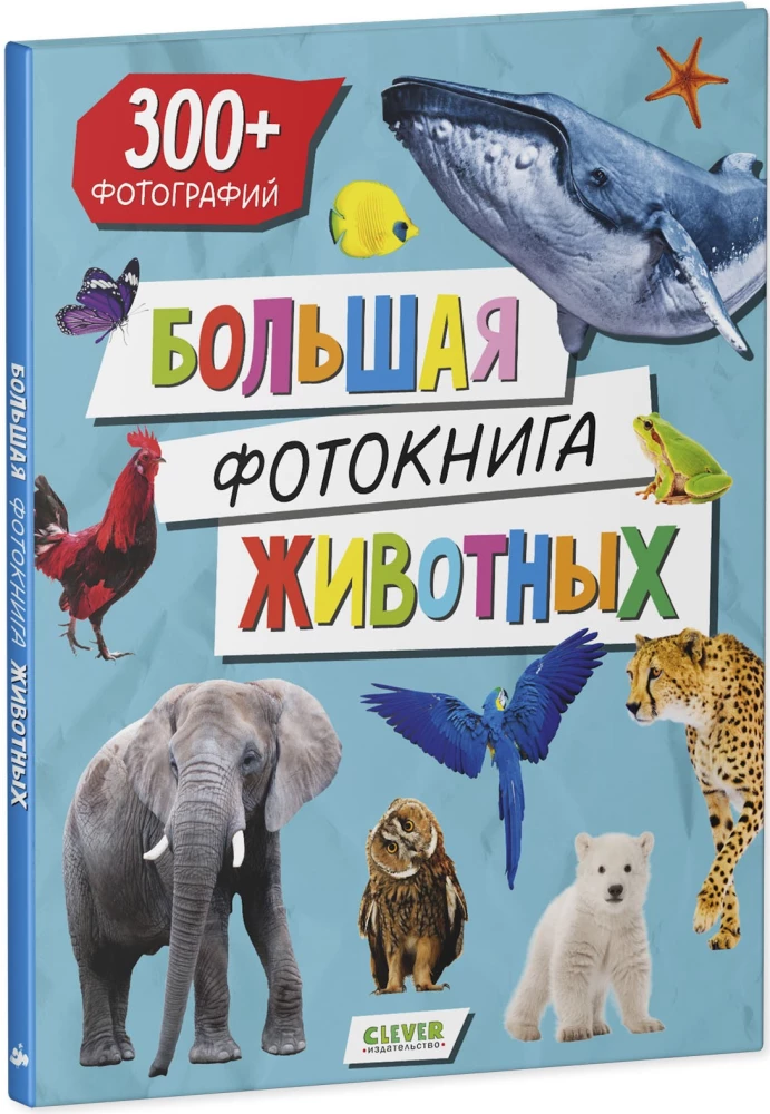 Baby's First Books. Big Photo Book of Animals
