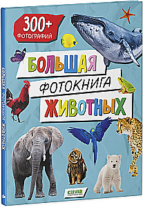 Baby's First Books. Big Photo Book of Animals