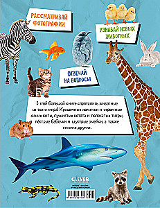 Baby's First Books. Big Photo Book of Animals