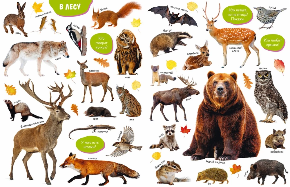 Baby's First Books. Big Photo Book of Animals