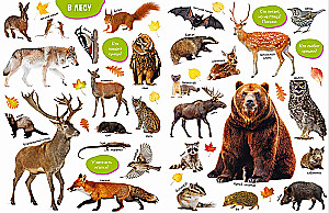 Baby's First Books. Big Photo Book of Animals