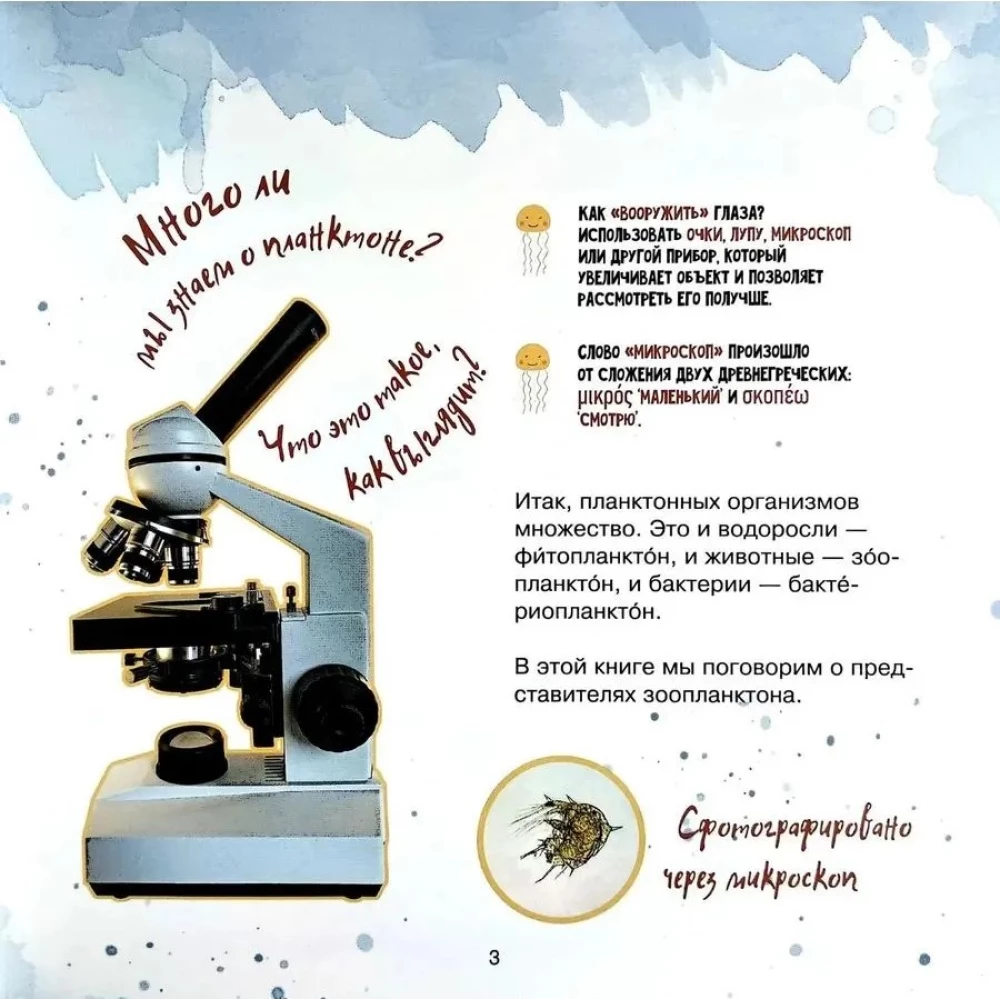 The Amazing Zooplankton