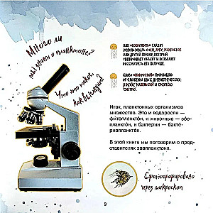 The Amazing Zooplankton