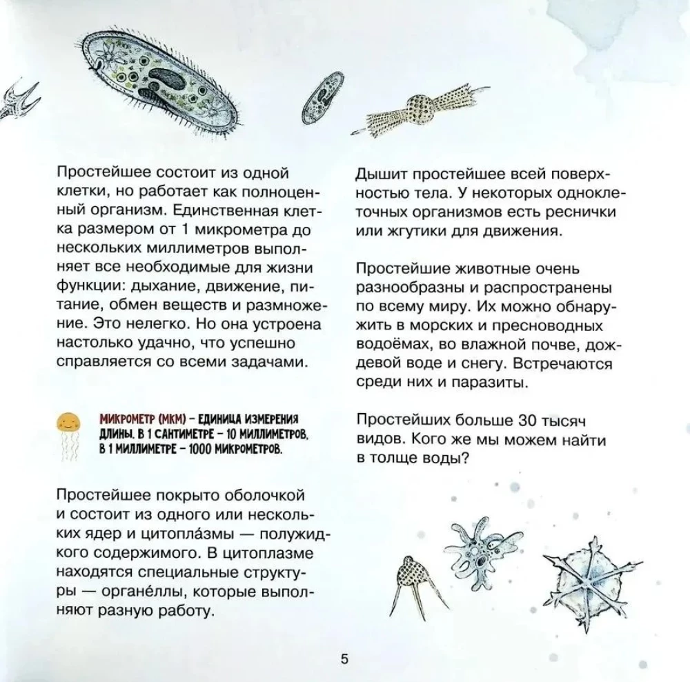 The Amazing Zooplankton