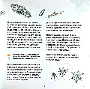 The Amazing Zooplankton