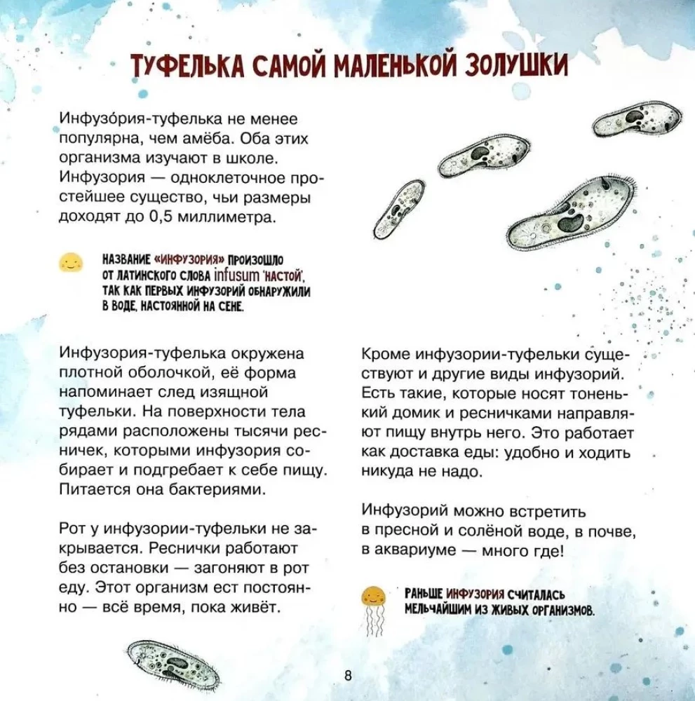 The Amazing Zooplankton