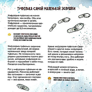 The Amazing Zooplankton