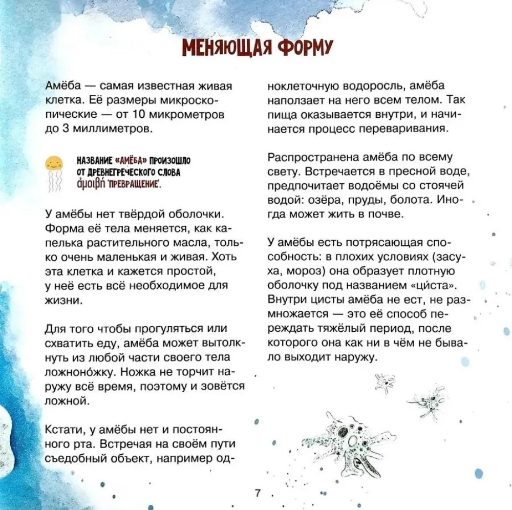 The Amazing Zooplankton