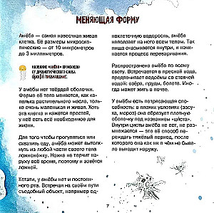 The Amazing Zooplankton