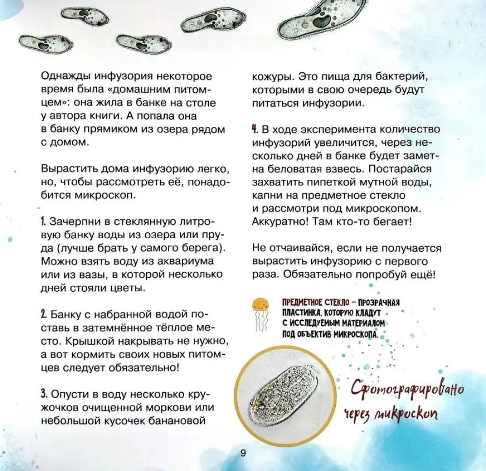 The Amazing Zooplankton