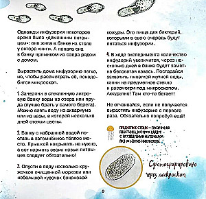 The Amazing Zooplankton