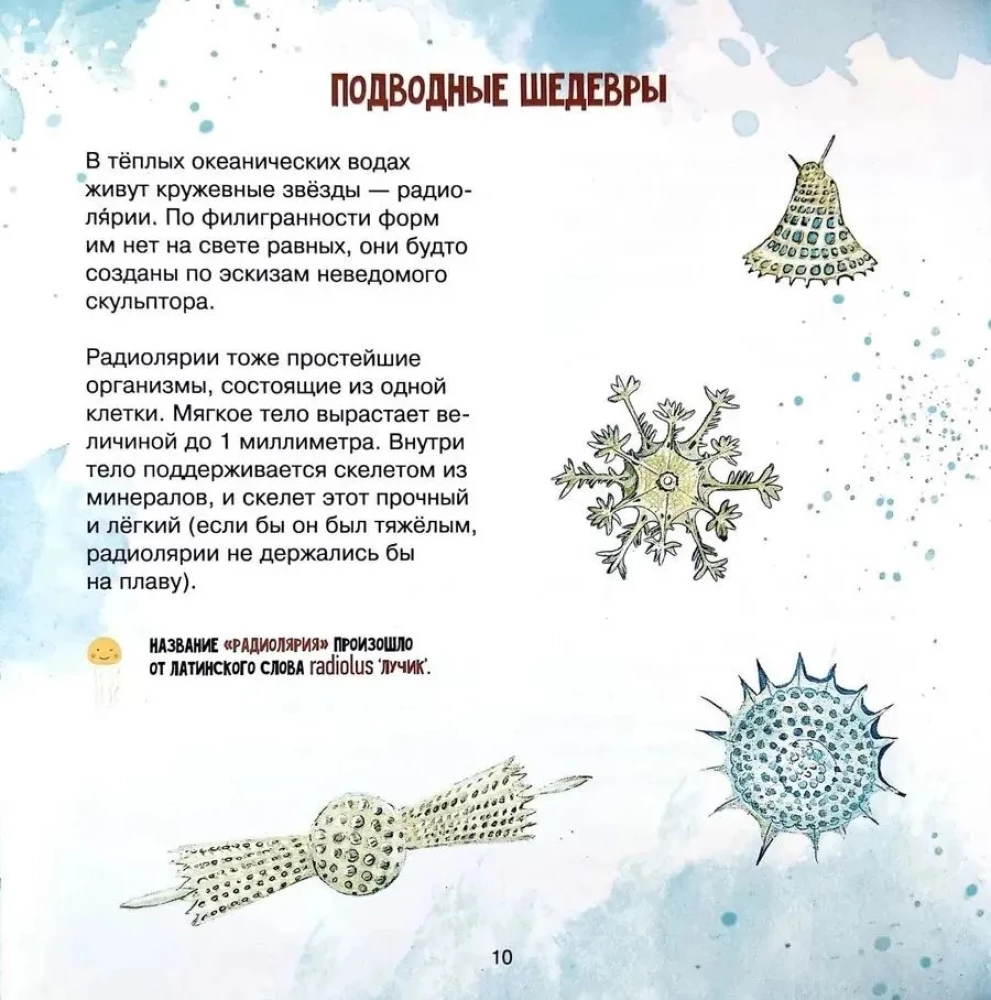 The Amazing Zooplankton