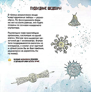 The Amazing Zooplankton