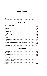 Вьюрки. Наш двор